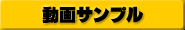 動画サンプル